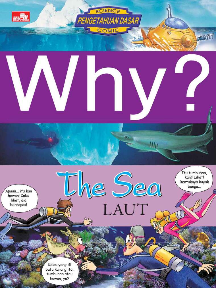 Why ? The Sea