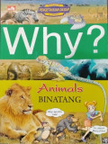 Why? Animals : Binatang